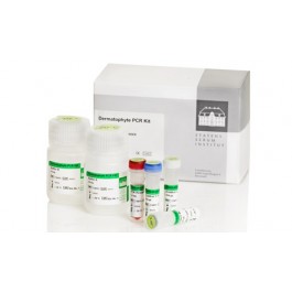 Dermatophyte PCR kit