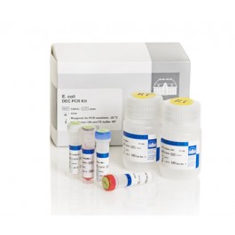 DEC PCR kit (EHEC, EIEC, EPEC, ETEC,)