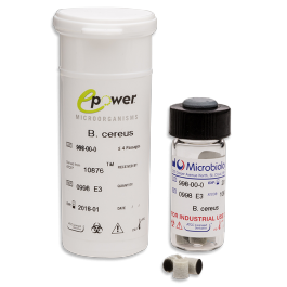 Pseudomonas aeruginosa ATCC 9027 - EPOWER - 1,0E7 à 9,9E7 UFC/pastille