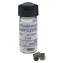 Aspergillus niger ATCC 6275 - LYFO DISK - -