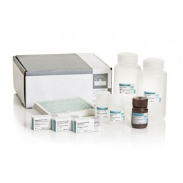 Pseudomonas-CF-IgG ELISA kit