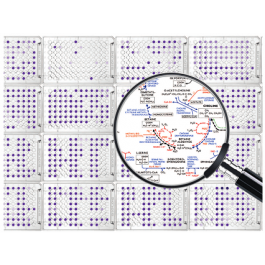 Technologie d'analyse du Microbiome