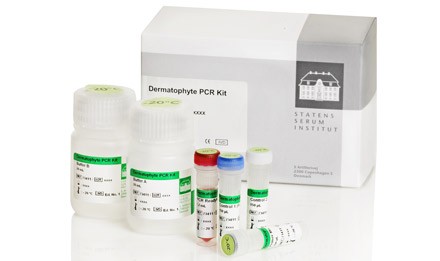 Dermatophyte PCR kit