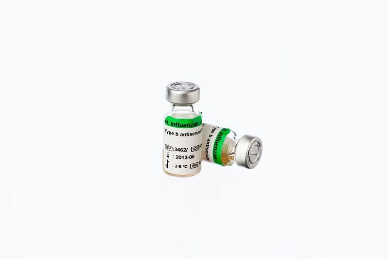 Antisérum - Haemophilus influenzae type b antiserum