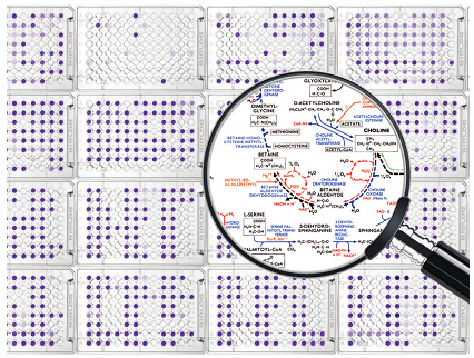 Technologie d'analyse du Microbiome alliance bio expertise