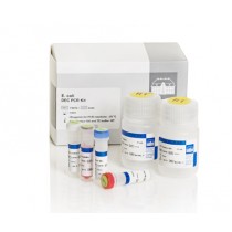 DEC PCR kit (EHEC, EIEC, EPEC, ETEC,)