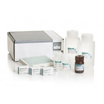 Pseudomonas-CF-IgG ELISA kit