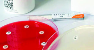 disques antibiotiques alliance bio expertis