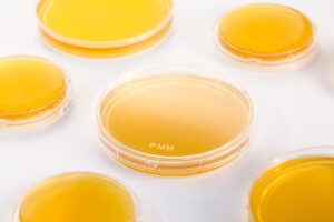 milieux de culture nouvelle formule - PMM - alliance bio expertise