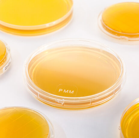 milieux de culture nouvelle formule - PMM - alliance bio expertise