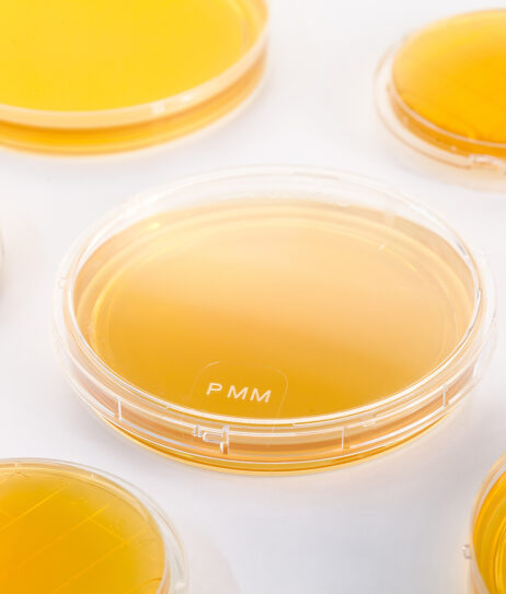 milieux de culture nouvelle formule - PMM - alliance bio expertise