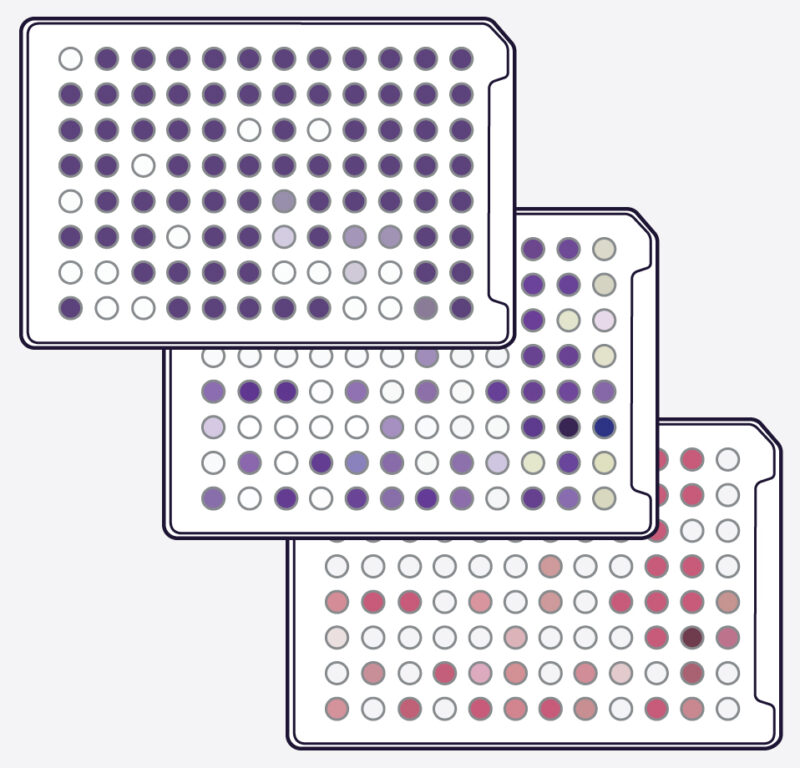 identification BIOLOG