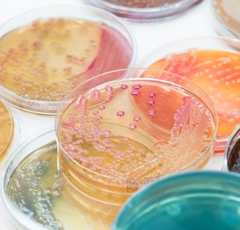 milieux biolog