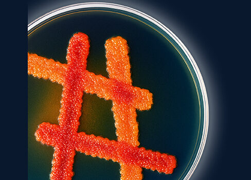 qui-sommes-nous-alliance-bio-expertise