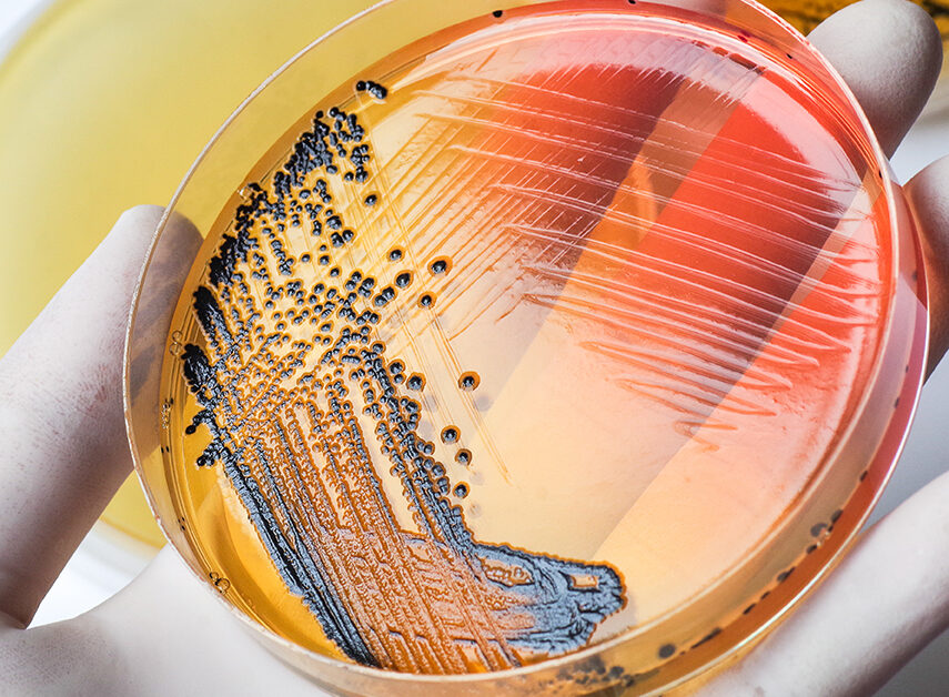 food industry alliance bio expertise