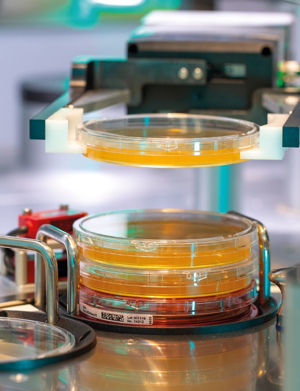 Lire les résultats alliance bio expertise
