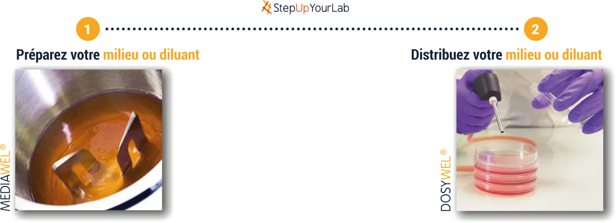 1. Préparez votre milieu ou diluant + 2. Distribuez votre milieu ou diluant