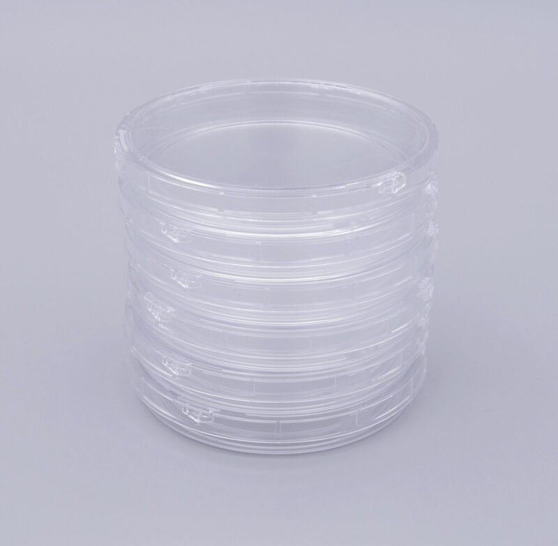 boite de milieux de culture vides et stériles