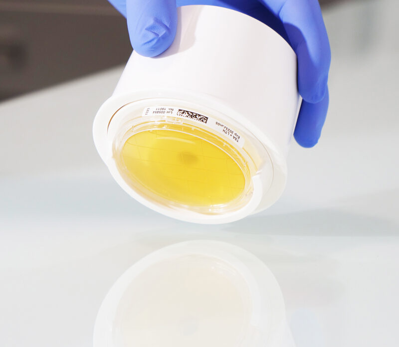 BIO-APPLICATOR FOR 55MM CONTACT PLATE - LIOFILCHEM ATL