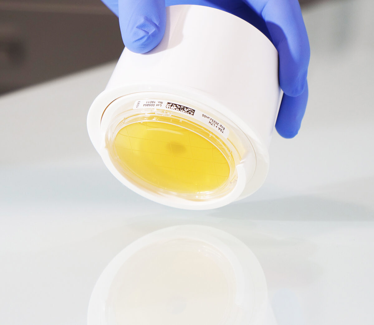 BIO-APPLICATOR FOR 55MM CONTACT PLATE - MERCK PLUS