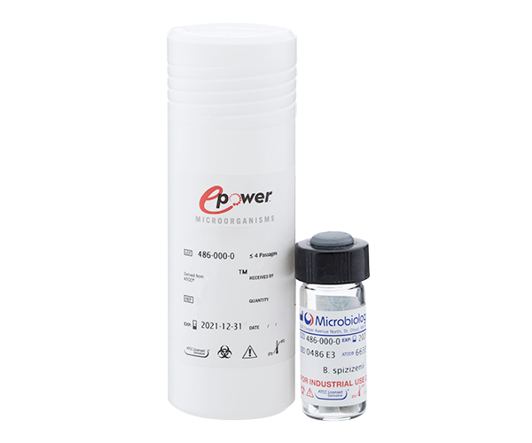 CANDIDA ALBICANS ATCC® 10231