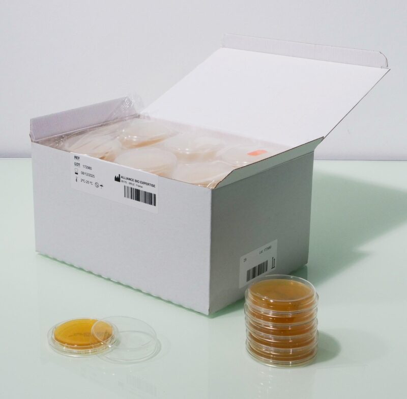GELOSE SABOURAUD CHLORAMPHENICOL  + NEUTRALISANT