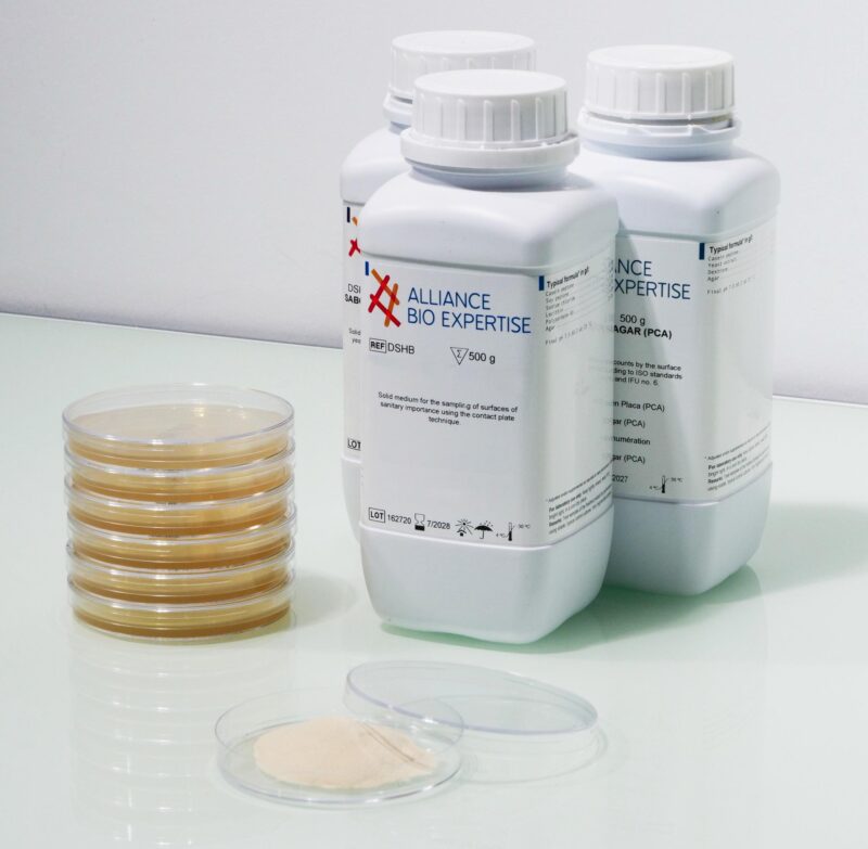 GELOSE SABOURAUD DEXTROSE + CHLORAMPHENICOL - SDA