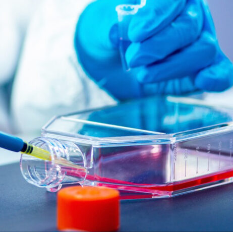 les bonnes pratiques en culture cellulaire - alliance bio expertise