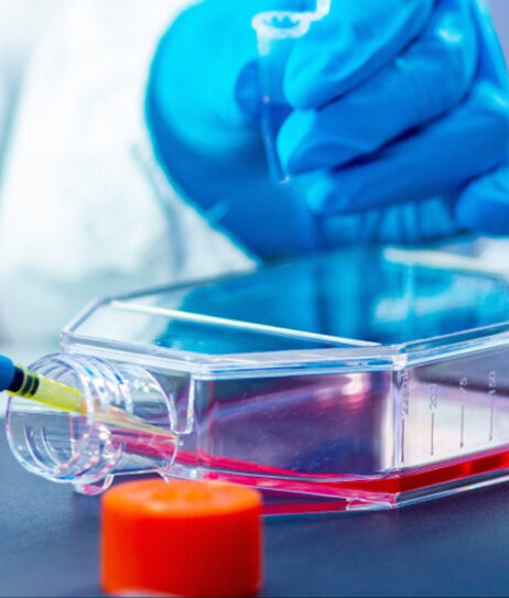 les bonnes pratiques en culture cellulaire - alliance bio expertise