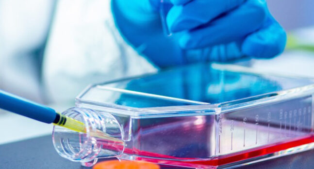 les bonnes pratiques en culture cellulaire - alliance bio expertise