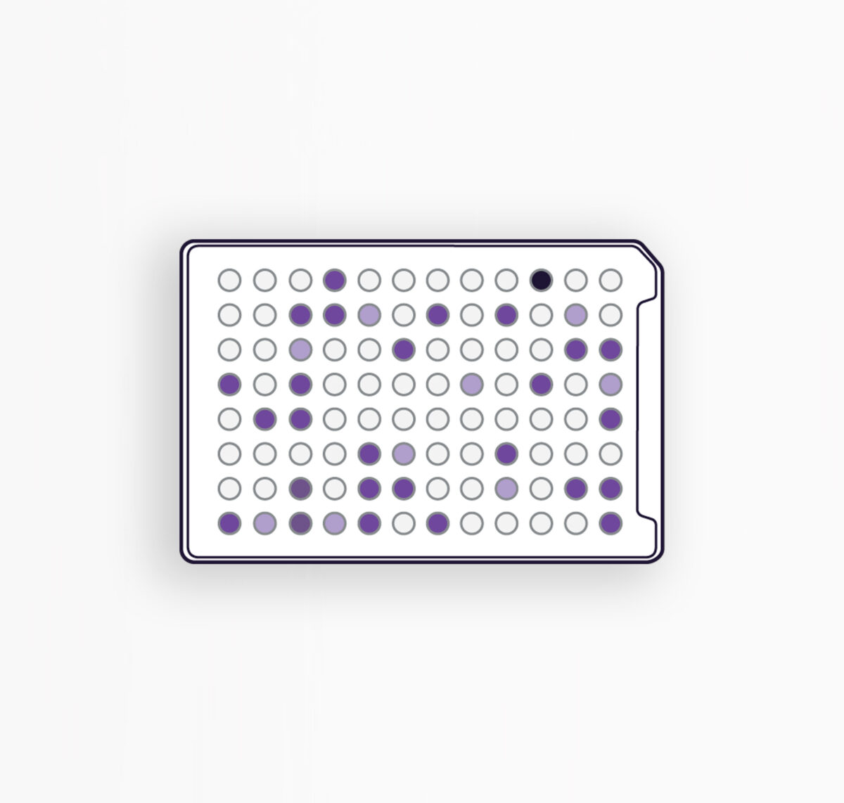 MICROPLAQUES AN - IDENTIFICATION DES BACTÉRIES ANAÉROBIES