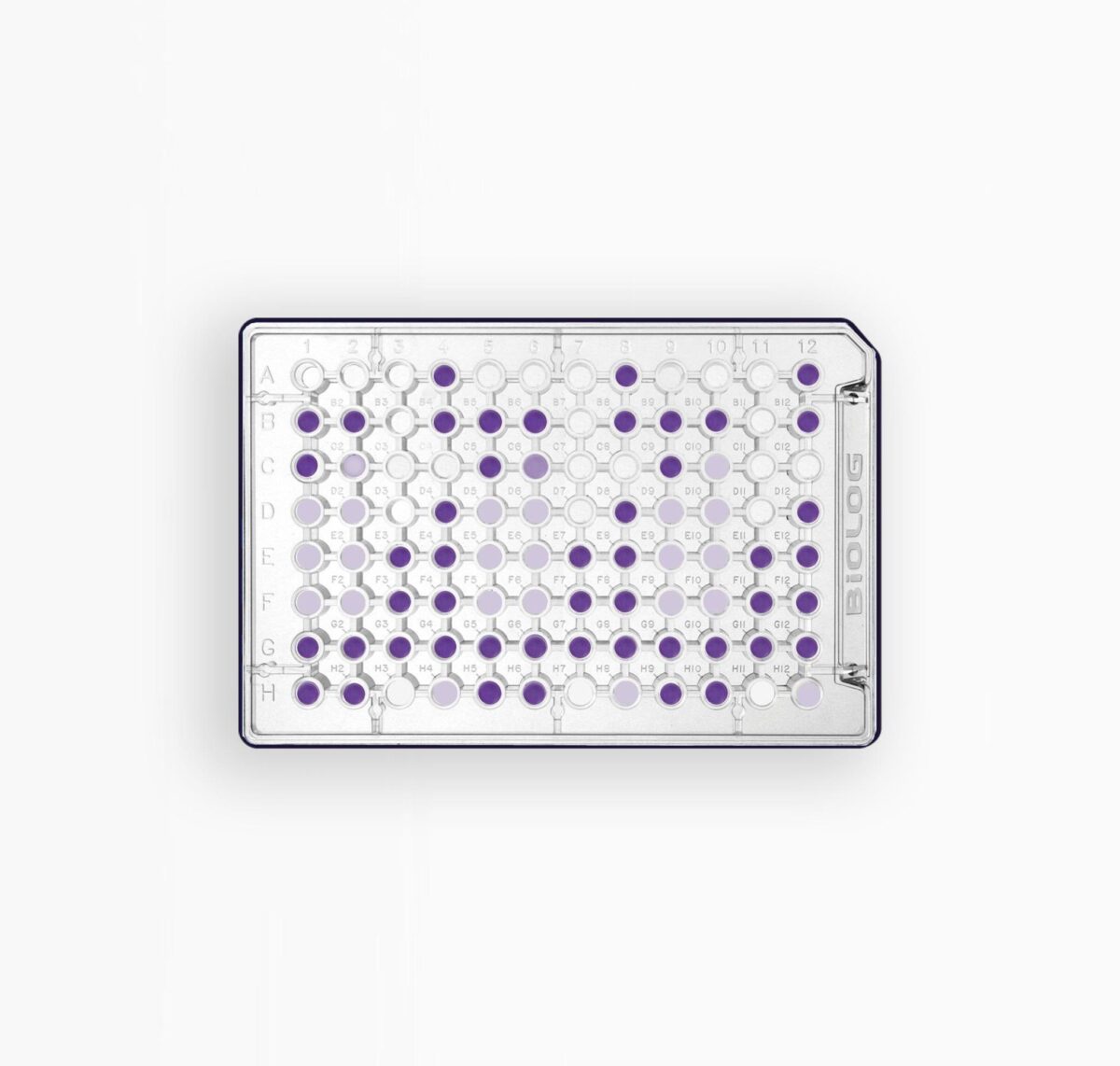 MICROPLAQUE PM02 - CARBONE
