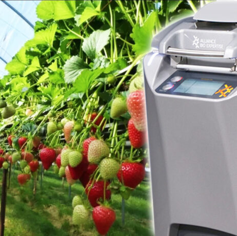 Media Preparation from Edward Vinson Ltd -MEDIAWEL_