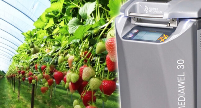 Media Preparation from Edward Vinson Ltd -MEDIAWEL_