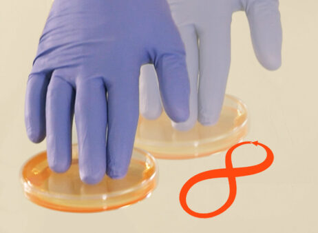 plate pouring method alliance bio expertise_