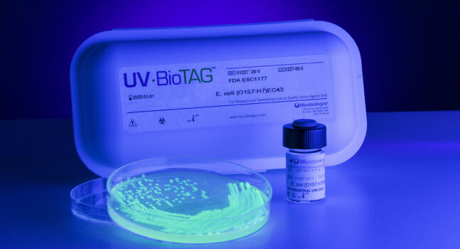 temoignage souches UV