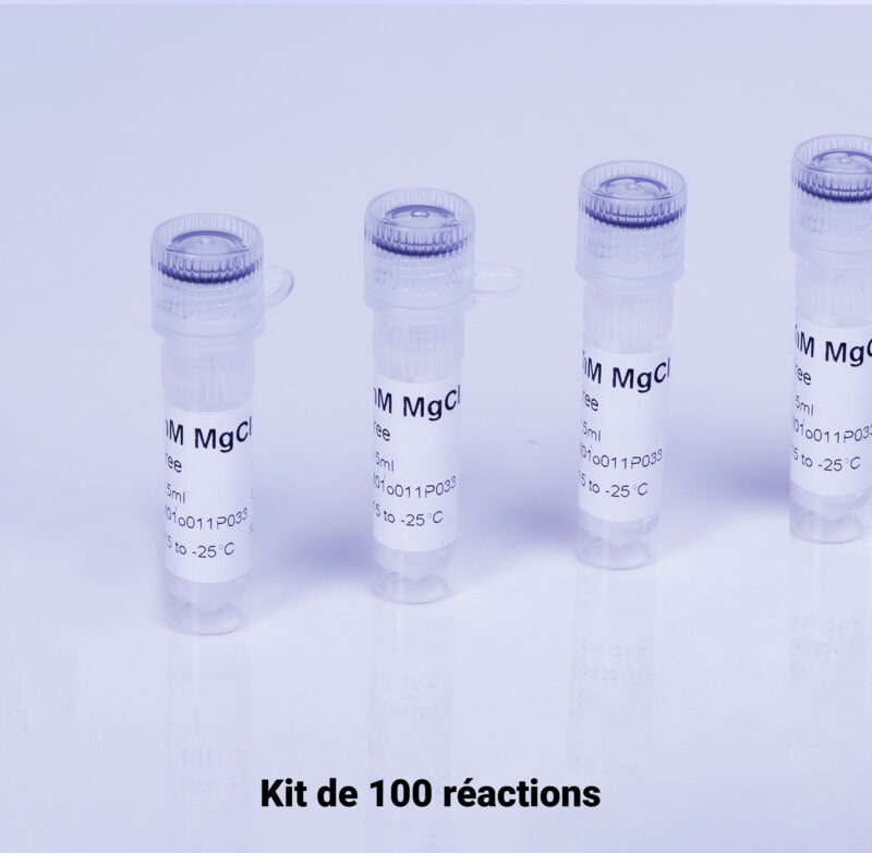 AMORCES DE SÉQUENÇAGE BACTÉRIEN