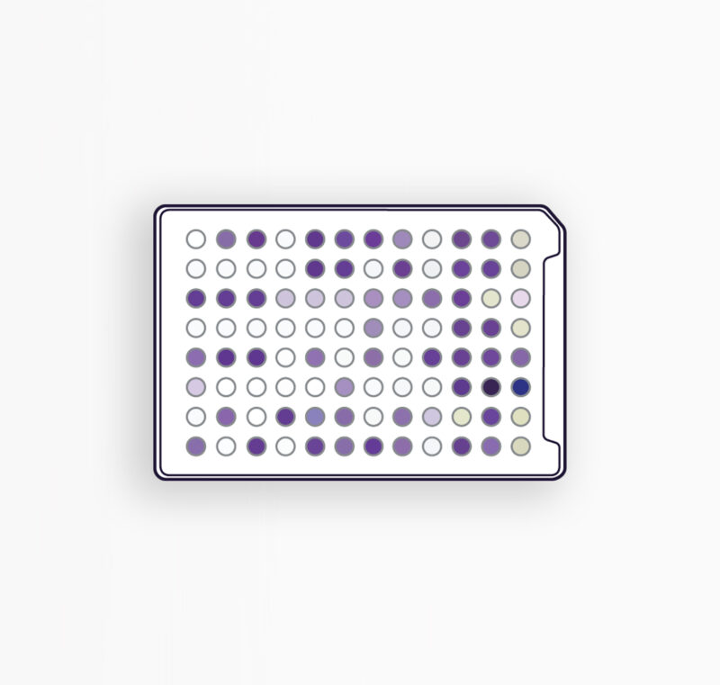 MICROPLAQUES GEN III - IDENTIFICATION DES BACTÉRIES AÉROBIES
