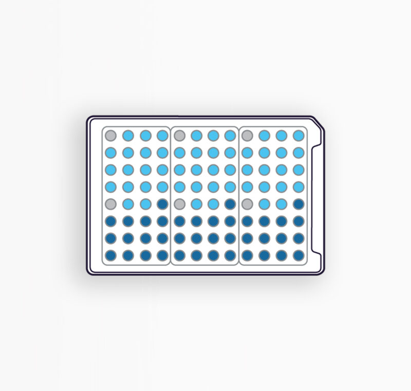 PREBIOM2 - PRÉBIOTIQUES À BASE DE POLY- ET OLIGOSACCHARIDES