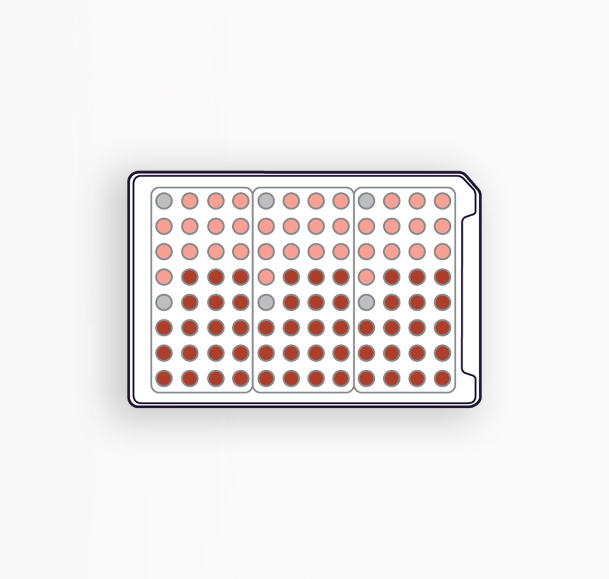 PREBIOM3 - PRÉBIOTIQUES À BASE DE FIBRES ET D'EXTRAITS ALIMENTAIRES