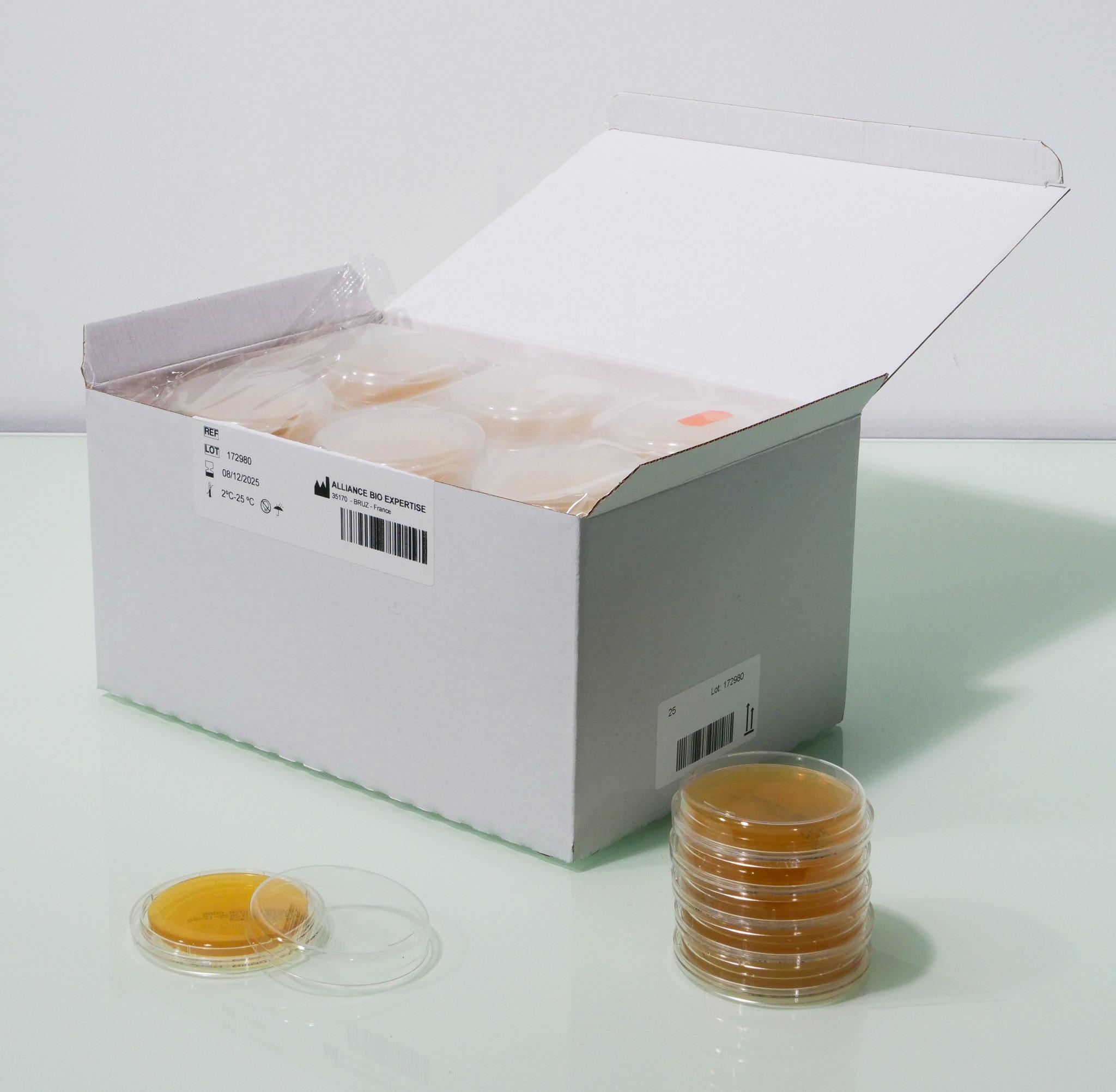 GELOSE SABOURAUD CHLORAMPHENICOL  + NEUTRALISANT