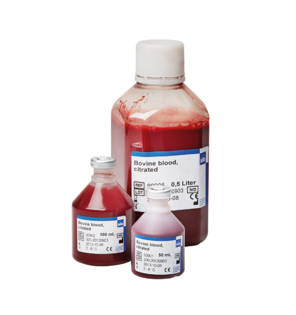 SANG DE BOVIN AVEC CITRATE