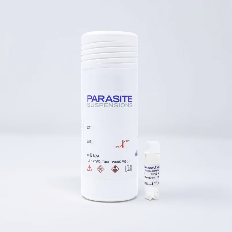 ASCARIS LUMBRICOIDES