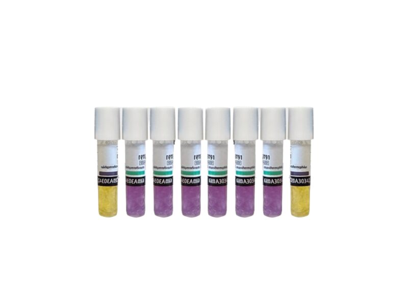 BIOLOGICAL INDICATORS X8 - MYCOFOG