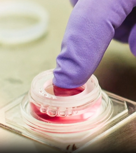 CELLULES DE CULTURE POUR OXYGENIE - 1MM