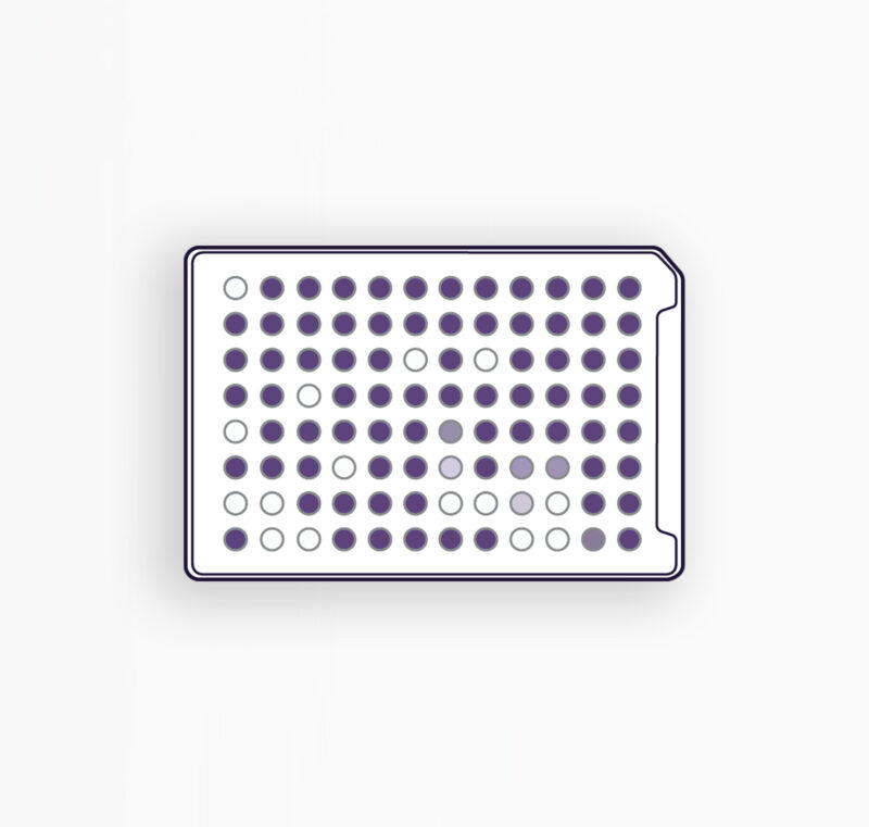 MICROPLAQUES YT - IDENTIFICATION DES LEVURES