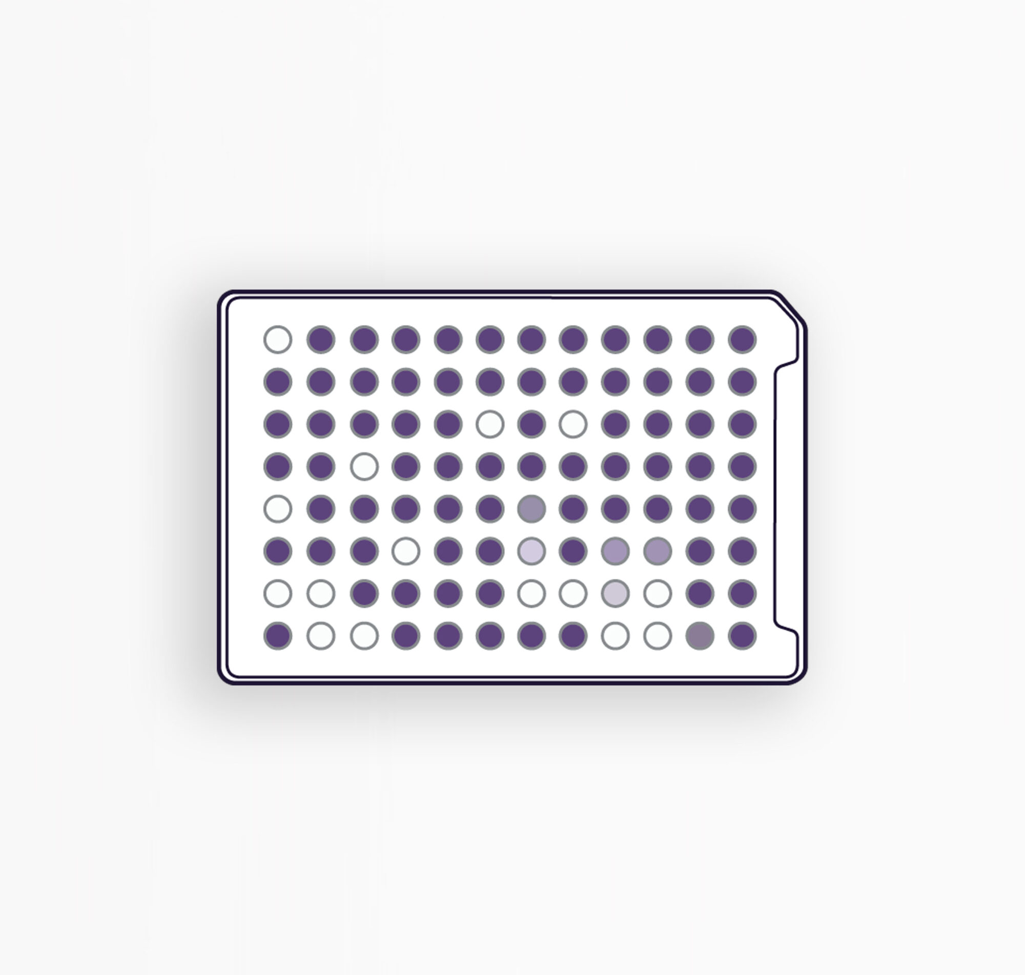 MICROPLAQUES YT - IDENTIFICATION DES LEVURES