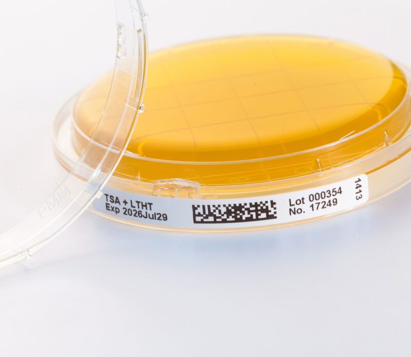 TSA + LT + ß-Lac I/II - CSG