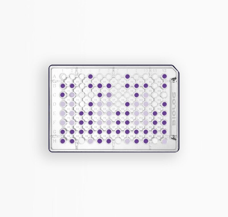 MICROPLAQUE PM10 PH - 1 PLAQUE