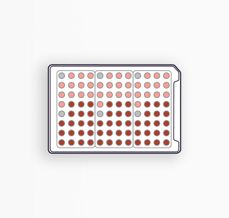 PREBIOM3 - PRÉBIOTIQUES À BASE DE FIBRES ET D'EXTRAITS ALIMENTAIRES